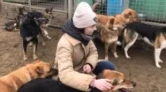 Ako sa stať dobrovoľníkom v prístrešku pre zvieratá